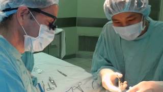 Top Plastic Surgeon in NYC Lends His Skills On Humanitarian Trip to Asia