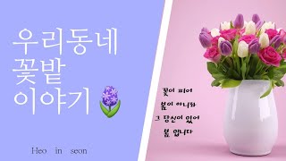 2024.06.25. 광양장애인복지관 유튜브반