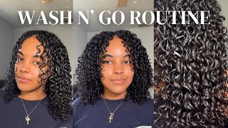 Full Wash n' Go Routine on 3b/3c | Low Porosity | Curly Hair using Rizos Curls