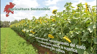 AGRICULTURA SOSTENIBLE