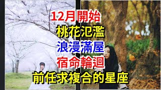 12月開始，桃花氾濫，浪漫滿屋，宿命輪迴，前任求複合的星座，[星座運勢大全]