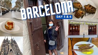 Barcelona AMAZING La Barceloneta Food Tour! | Sagrada Familia 🇪🇸