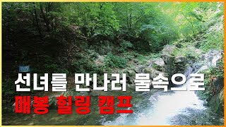 천년의 자연 캠핑장 신림면에 위치한 매봉 힐링캠프