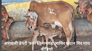 सबसे सस्ती गिरगाय कहां मिलेगी the cheapest Gircow 9414745465