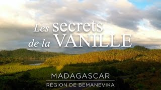 Les secret de la Vanille