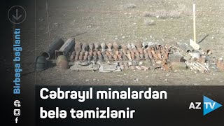 Cəbrayıl minalardan belə təmizlənir - BİRBAŞA BAĞLANTI