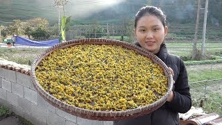 Rural girl picking wild chrysanthemums, homemade chrysanthemum tea, really fragrant