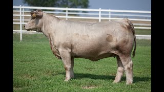 LOT 4 1ELE 2346 JUNE 2024