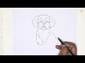 shih tzu drawing easy animal drawing tutorial how to draw a shih tzu simply artjanag