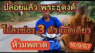 3 ตัวเม็ดเดียว พระธุดงค์ไม่ลงช่อง