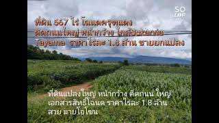 ที่ดินแปลงใหญ่วิวเขายายเที่ยง ปากช่องเขาใหญ่ใกล้มายโอโซน ที่ดิน567ไร่ ทำเลติดถนน2235โทร0927857999