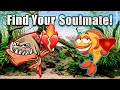 How to Pick Your Soulmate Fish!
