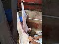 Full Goat Mutton Cutting #trending