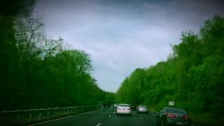 Green Trees Are Singing Spring Season Songs.. Maryland , USA