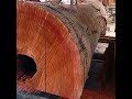 sawmill. sawmill meranti red