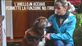 Pettorina Speciale Anti-Tiro