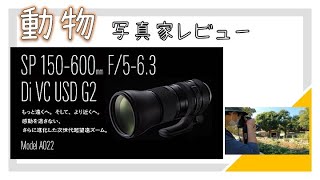 タムロン 150-600mm G2 (Model A022)　動物写真家レビュー