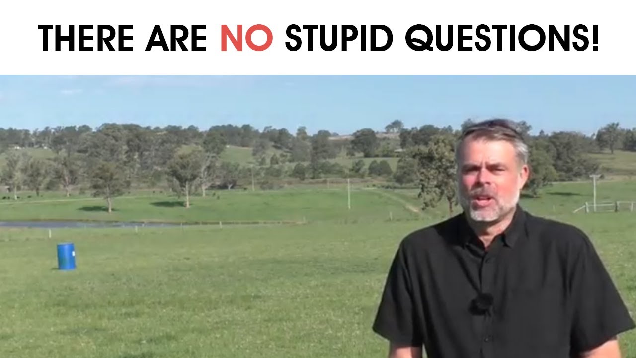 There Are No Stupid Questions Youtube
