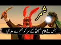 Shimr kon tha | Qatilan e Imam Hussain | Shimr Ka Anjam Kia Huwa | Waqia Karbala 2024| Ahl e Bait