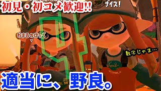 《サーモンラン》適当に、野良【スプラトゥーン2】