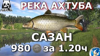 🌟РЕКА АХТУБА🌟САЗАН / 980 СЕРЫ ЗА 1,20 ЧАСА🌟Русская Рыбалка 4(РР4)🌟