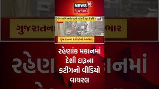 Viral Video: રહેણાંક મકાનમાં દેશી દારૂના કટિંગનો વીડિયો વાયરલ | Gujarati News  #shorts