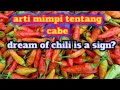 Mimpi memetik cabe