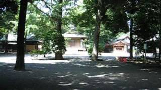 井草八幡宮 杉並区善福寺