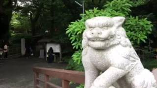 熱海 来宮神社 大楠 樹齢2000年 潜在意識から変わる！女性 のための安心 婚活　無料  電話相談　心理カウンセラー