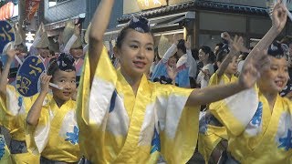 流し踊り「菊水連」第47回神楽坂まつり 阿波踊り（2018.7.27）