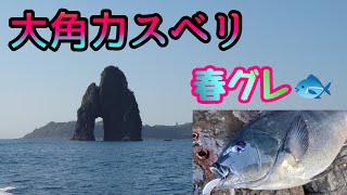 春グレ始動❗大瀬戸大角力スベリ❗マジカグレ❗