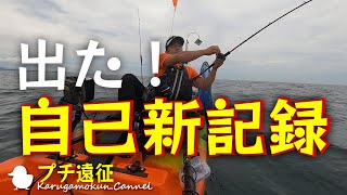 【カヤック】タイがいっぱい！？初魚種も！？【プチ遠征】