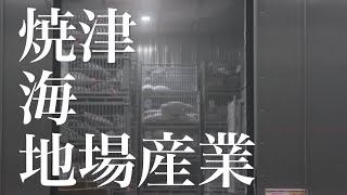 焼津 海 地場産業【焼津市公式】Modern \u0026 Traditional Local Seafood Processing Industry in Yaizu, Japan