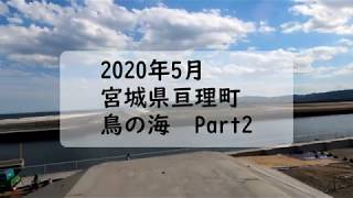 2020年5月　宮城県亘理町鳥の海　Part2