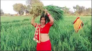 hum sab ghumte ghumte gehun ke khet me chale ... wahan aunty mil gai...