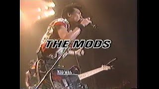 THE MODS／激しい雨が（CLUB CITTA'）