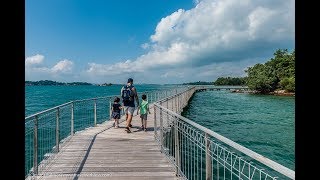 Pulau Ubin Day Trip in 60 seconds