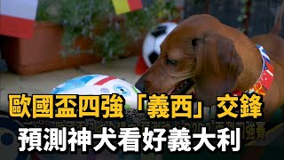 歐國盃四強「義西」交鋒 預測神犬看好義大利－民視新聞