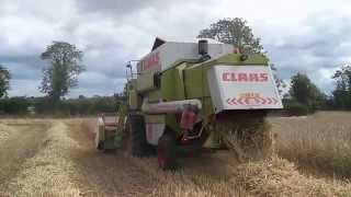 Class Dominator SL 98 Maxi Cutting Winter Barley