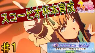 【ウマ娘】スコーピオ杯に向けてつよつよヒーラーグラスを爆誕させる！