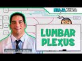 Neurology | Lumbar Plexus