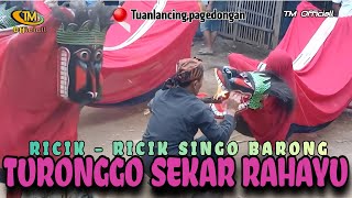 Tari Singo Barong  Ebeg Turonggo sekar Rahayu Live Pagedongan || Turonggo Mudho Officiall