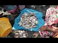 காசிமேடு மீன் மார்க்கெட் kasimedu fish market அமாவாசை தினத்தில் market vlog azeems kitchen