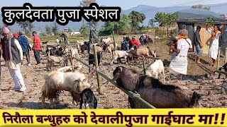 Nepali Travel||Niroula Haru Ko Kulpuja Gaighat Ma||Mohini Travel Vlogs#travel #gaighat