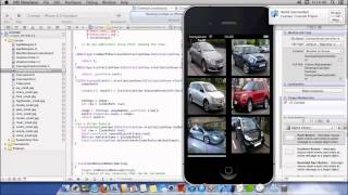 PecsXcode UICollectionView Delete Cell