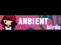 ambient 「birds ＬＯＮＧ」