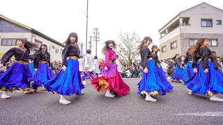 [4K] 八雲一座　瑞浪バサラカーニバル 2024（バサカニ） 公園通線南会場 (前方)