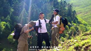 高山湖泊旁的露营：骨麻湖畔静享自然 （via dy @苏晓） Camping by a mountain lake: Enjoying nature by Guma Lake