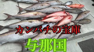 大物狙いの泳がせ釣り！カンパチ入れ食い！