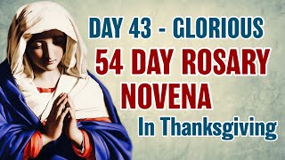 54 Day Rosary Novena Day 43 💜Glorious Mysteries